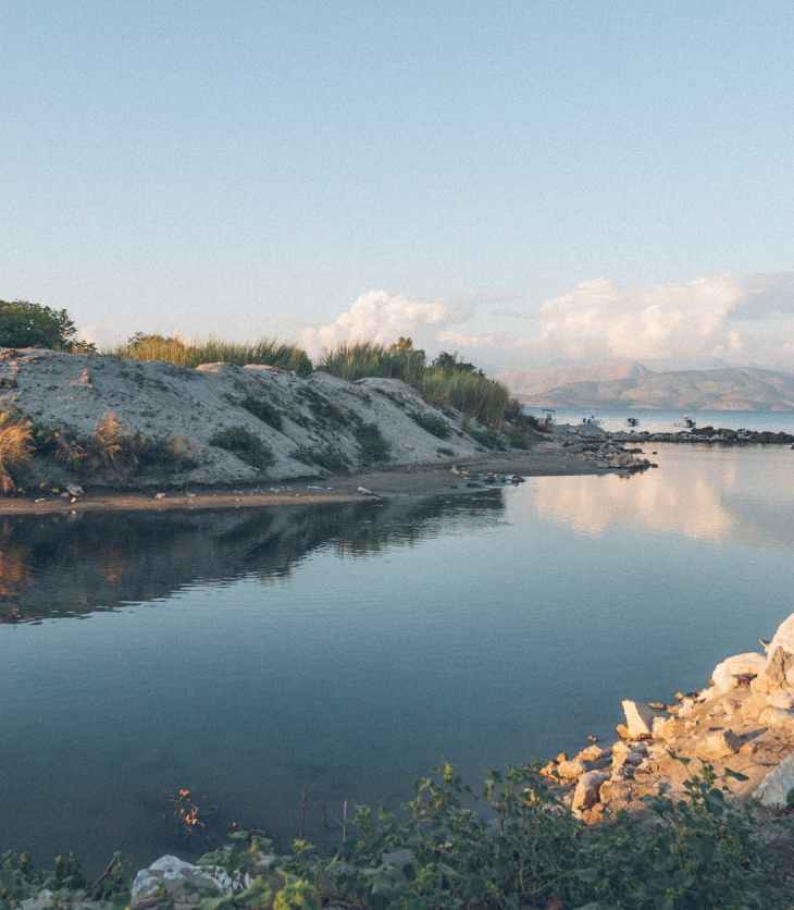 body of water near plants