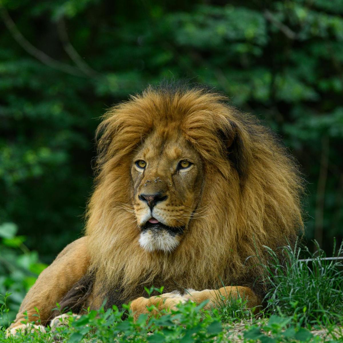 Das Wort Gottes ernstnehmen